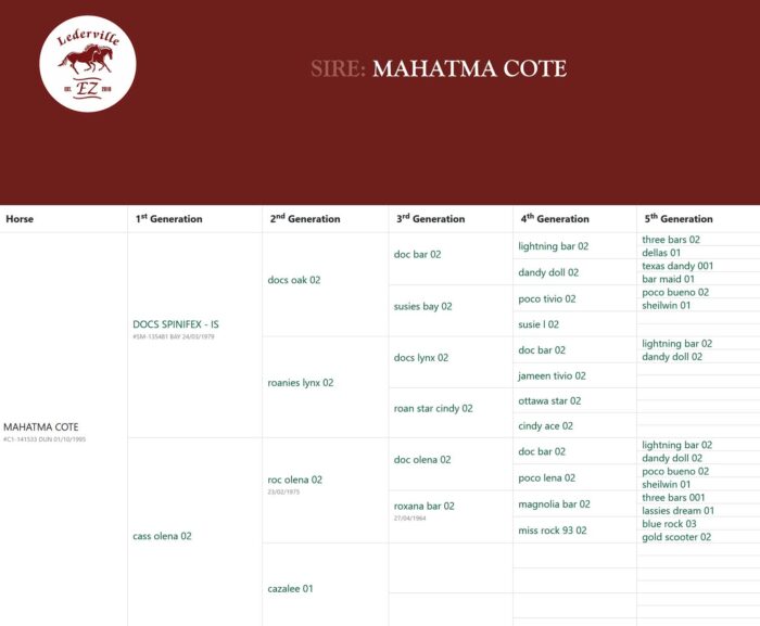 MAHATMA-COTE