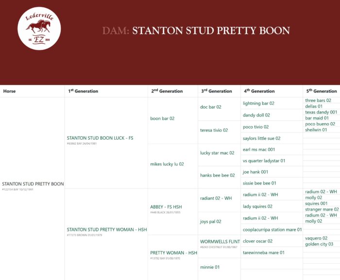 STANTON STUD PRETTY BOON