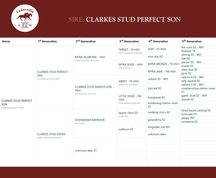 SIRE CLARKES STUD PERFECT SON